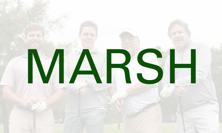 Marsh Teams